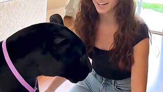 Meu gato gigante adora melancia! ????
