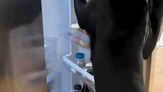 PANTERA PEGANDO LANCHE NA GELADEIRA ????