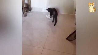 Try Not To Laugh 9
