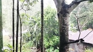 কত সুন্দর পরিবেশ