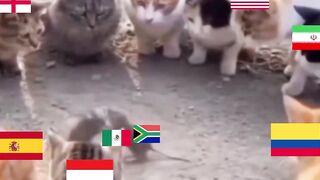 suhu pildun nyimak wak