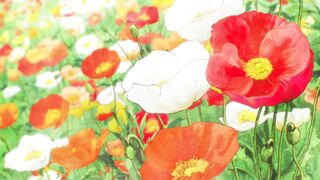 Awajima Hyakkei Episodes 10