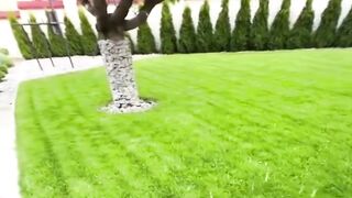 From Sowing Seeds to Melting Snow: Meet the Ultimate Multi-Tool!