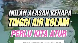 Inilah alasan kenapa tinggi air kolam perlu kita atur
