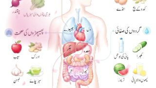 قدرتی غذاؤں سے اپنے جسم کو طاقت دیں????