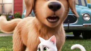 dog vs cat love story