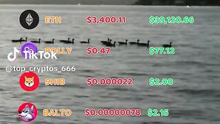 Top Verified Bitcoin & USDT Recovery Company: Best Crypto Recovery Agency - Quantum Vault Recuperation