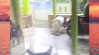 makanya jangan numpang wifi dek