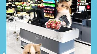 tunggu tunggu, gimana tadi?????