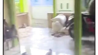 Terpaksa colokan dicabut