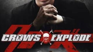 Crows Explode