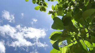 NICE VIEW SKY