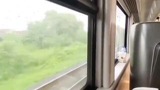 nice view train