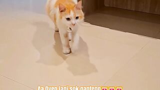 AA Oyen Sok Ganteng & Sadar