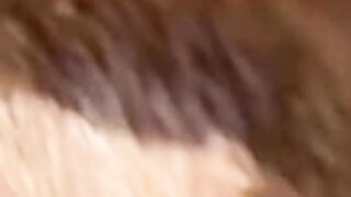 Find 'funny video' 6