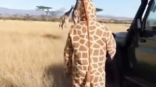 Find 'funny video' 7