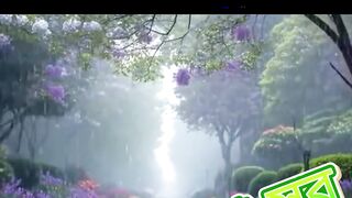 মন মতানো সুর
