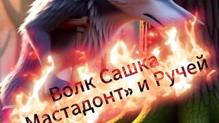 Волк Сашка позывной мастодонт
