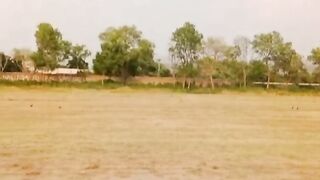 Beautiful Hmc warrior's cricket ground
