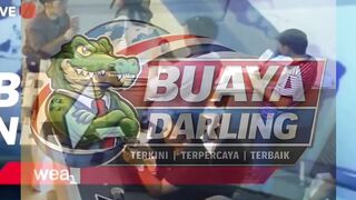 Sapi minta rekomendasi kamera buat dokumentasi kenang-kenangan terakhirnya sebelum Idul Adha! #Viral