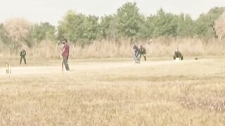 Play Cricket in very hot season