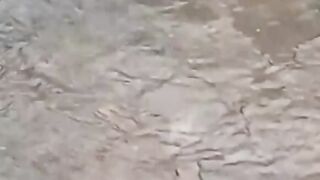 Heavy rain fall in my city