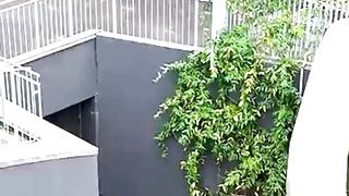 This Parkour Athlete Breaks Limits #ParkourLife #ExtremeAthlete #ViralCreator #Parkour #AdrenalineRush #AmazingSkills