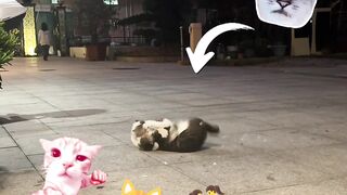 When 'Crab Walk' Mode Fails Completely & Ends in a Fight