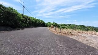 A cat living alone at a viewpoint with a spectacular view was so cute when it came running up to me when I visited.