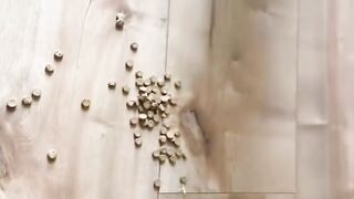 Cats Having a Total System Malfunction"