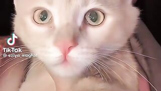 Wow Beautiful Eyes Colour