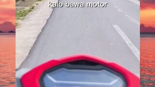 mana musim kawin lagi