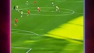 Pemb4lasan Fans Brazil ????