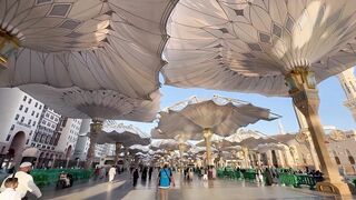 Giant Umbrellas at Mosque Courtyard in Medina