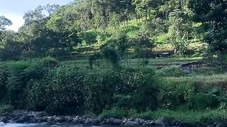 Rocky River Flowing Through Forest Landscape