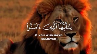 Tilawat e Quran Majeed | Islamic video