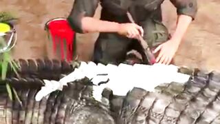 The Soldier Inside the Crocodile #MilitaryHistory #WarStories #UnexpectedAmbush #HistoryFacts #BattleTactics