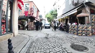 I patrol my favorite shops every day! The calico cat in the  district was just too cute again today.