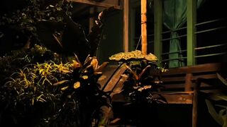Peaceful neighborhood street illuminated by w