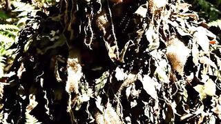 BTS Searching For Him In The Forest, The Grizzly