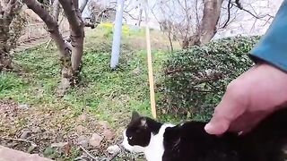 When I sat on a bench on Cat Island... the cats came to sit next to me as if competing with each other.