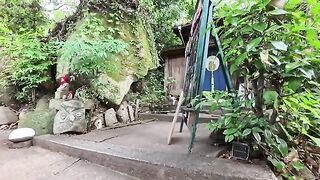 I'm releasing a compilation of previously unreleased cat videos I filmed this week. 13