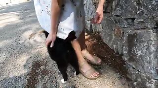 Two stray cats living in the same area want attention in different ways