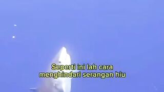 Langsung mokad ????