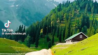 Heaven on earth KASHMIR
