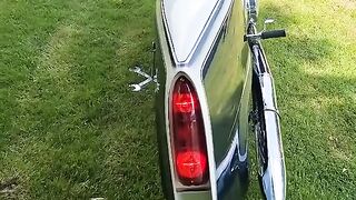 Amazing model 2