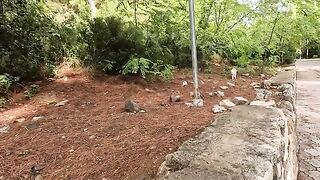 Leo the cat came running and asked us for food with his unique meows