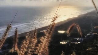 Golden Sunlight Over Coastal Landscape