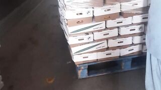 Dates fruit ???????? packing in Saudi Arabia