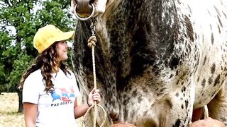 The Heaviest Cattle Breed Ever